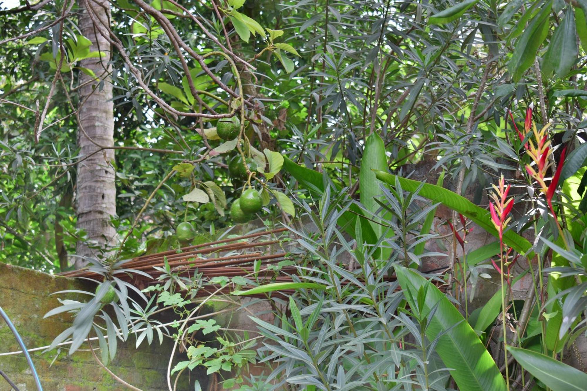Silent Waters Resorts Yelagiri Eksteriør bilde