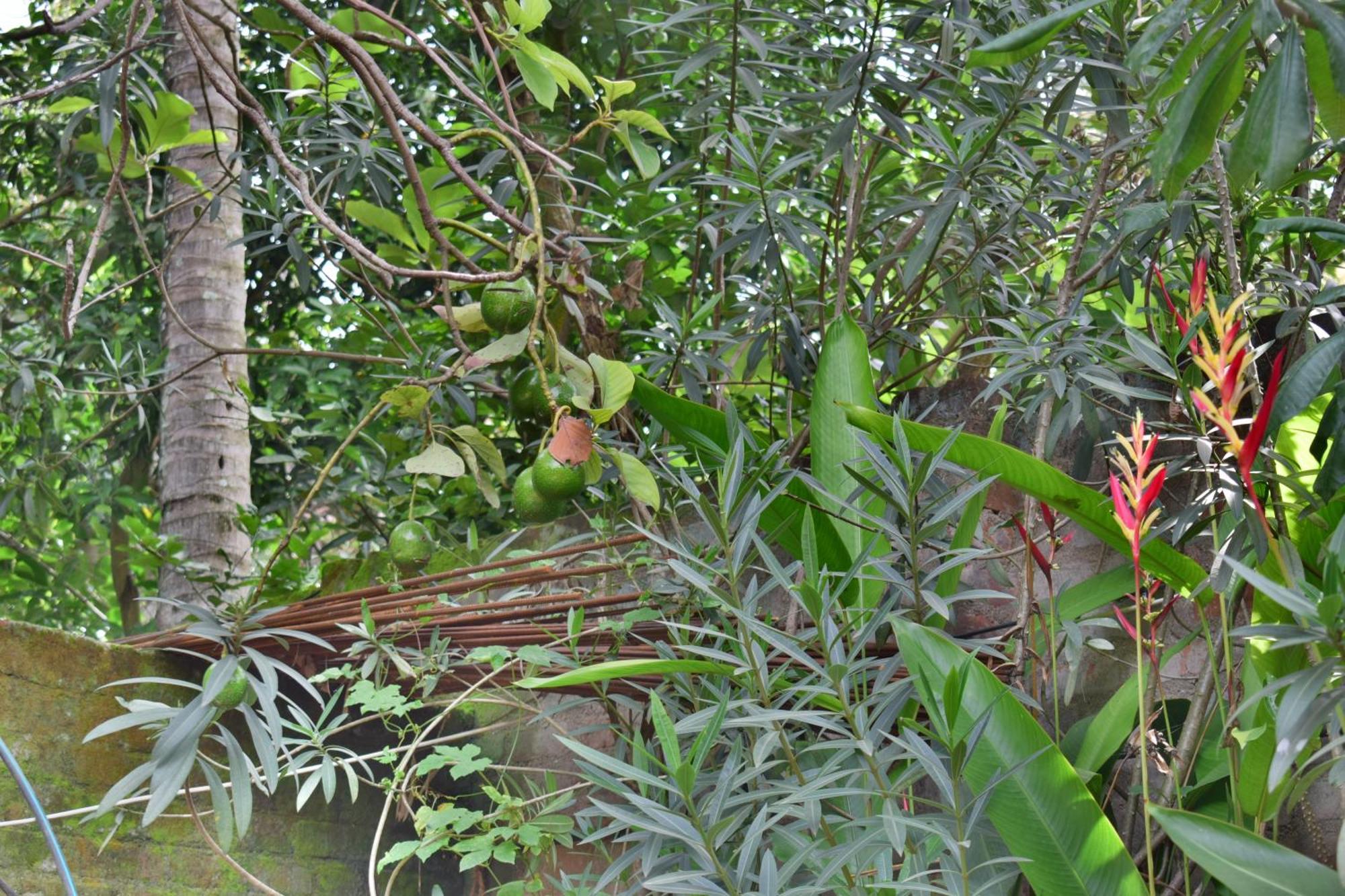 Silent Waters Resorts Yelagiri Eksteriør bilde
