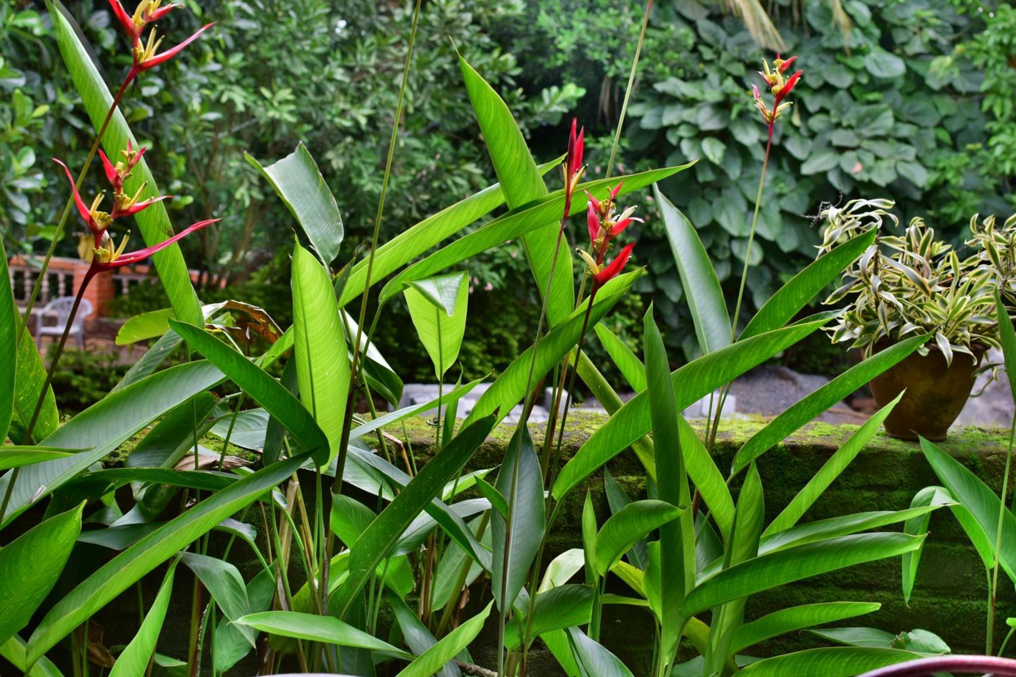 Silent Waters Resorts Yelagiri Eksteriør bilde