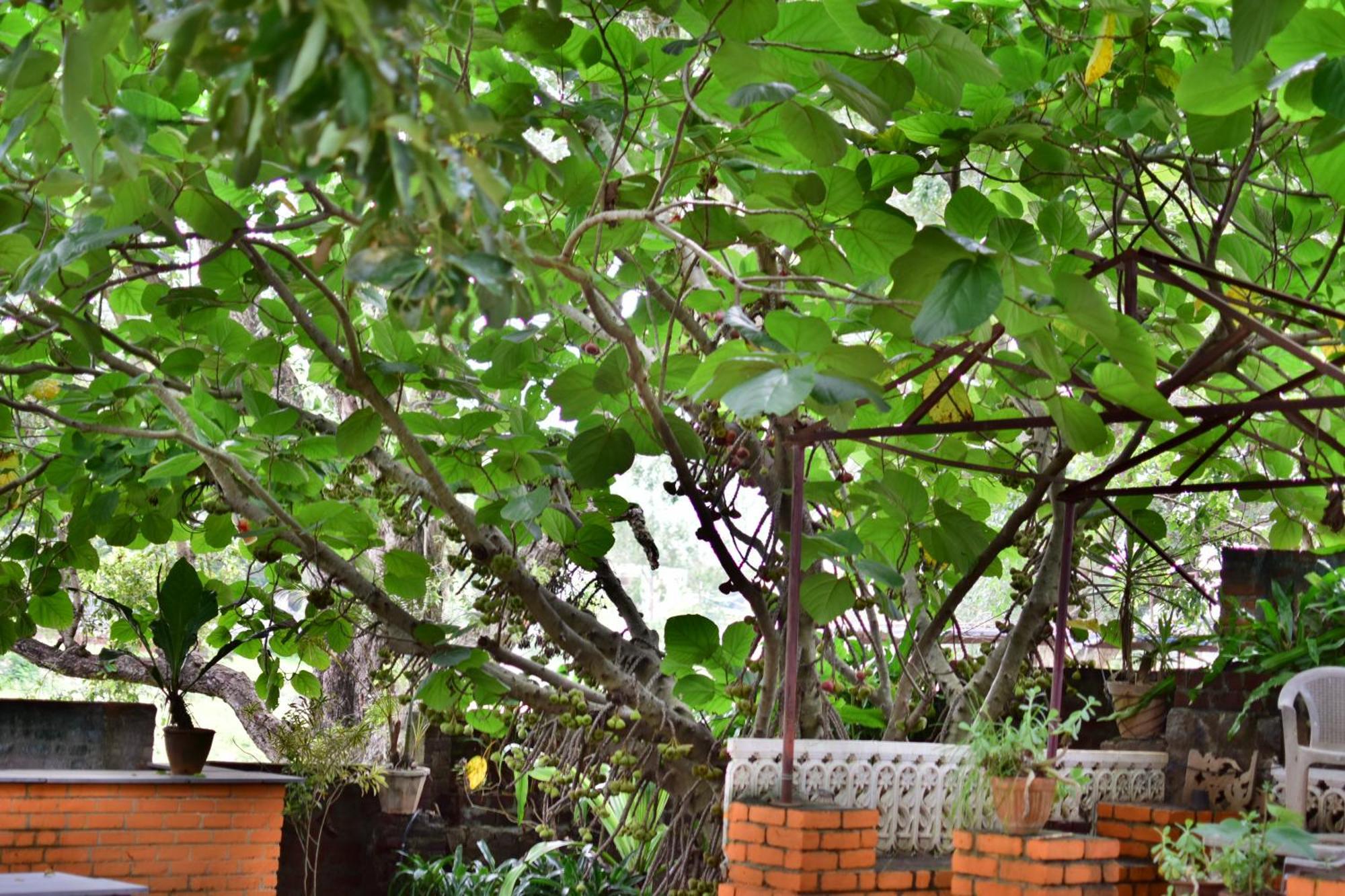 Silent Waters Resorts Yelagiri Eksteriør bilde