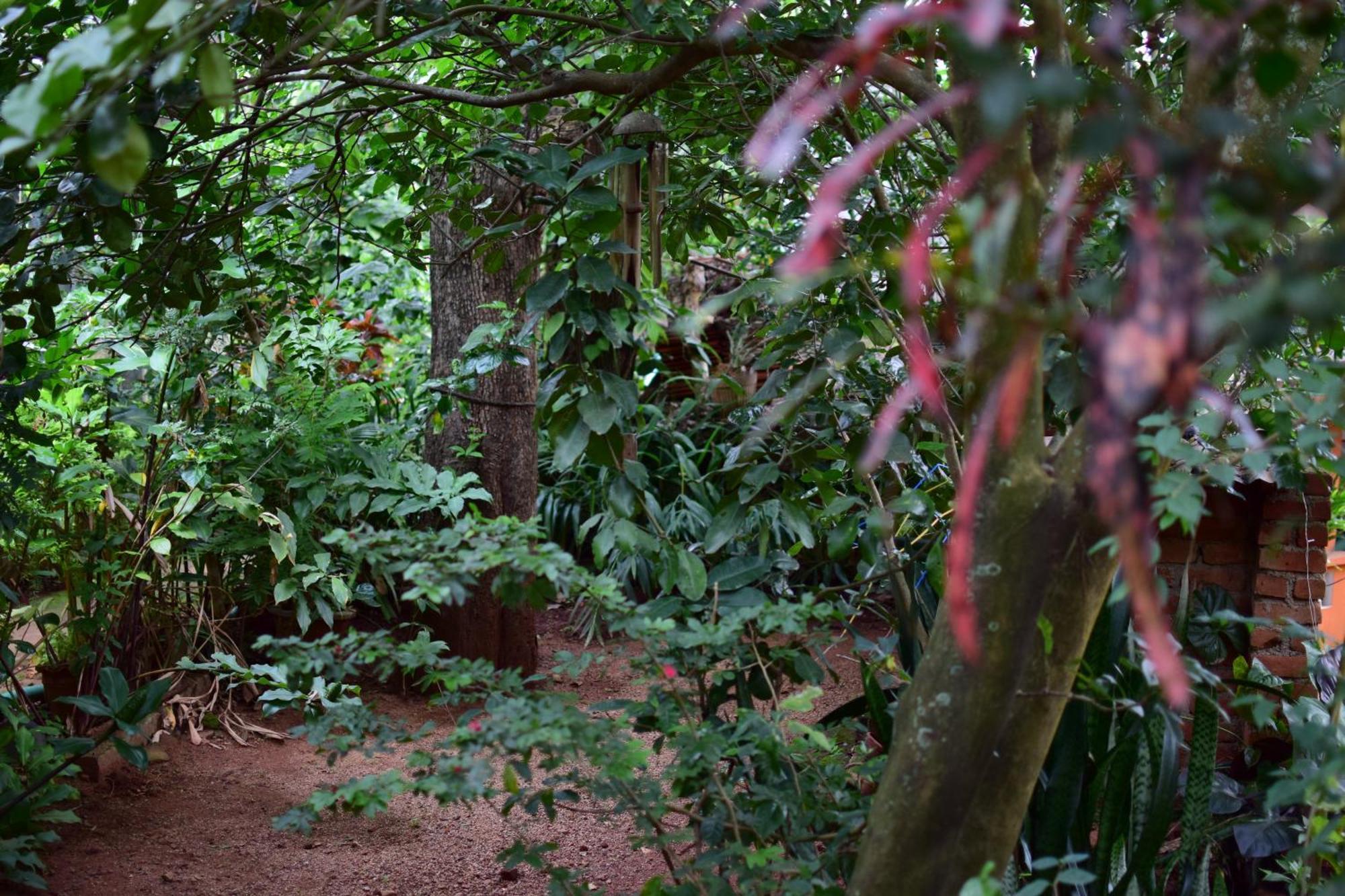 Silent Waters Resorts Yelagiri Eksteriør bilde