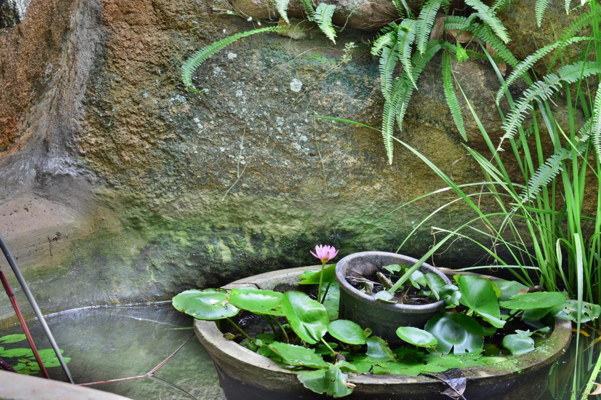 Silent Waters Resorts Yelagiri Eksteriør bilde