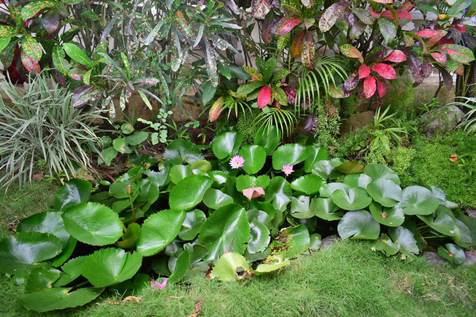 Silent Waters Resorts Yelagiri Eksteriør bilde