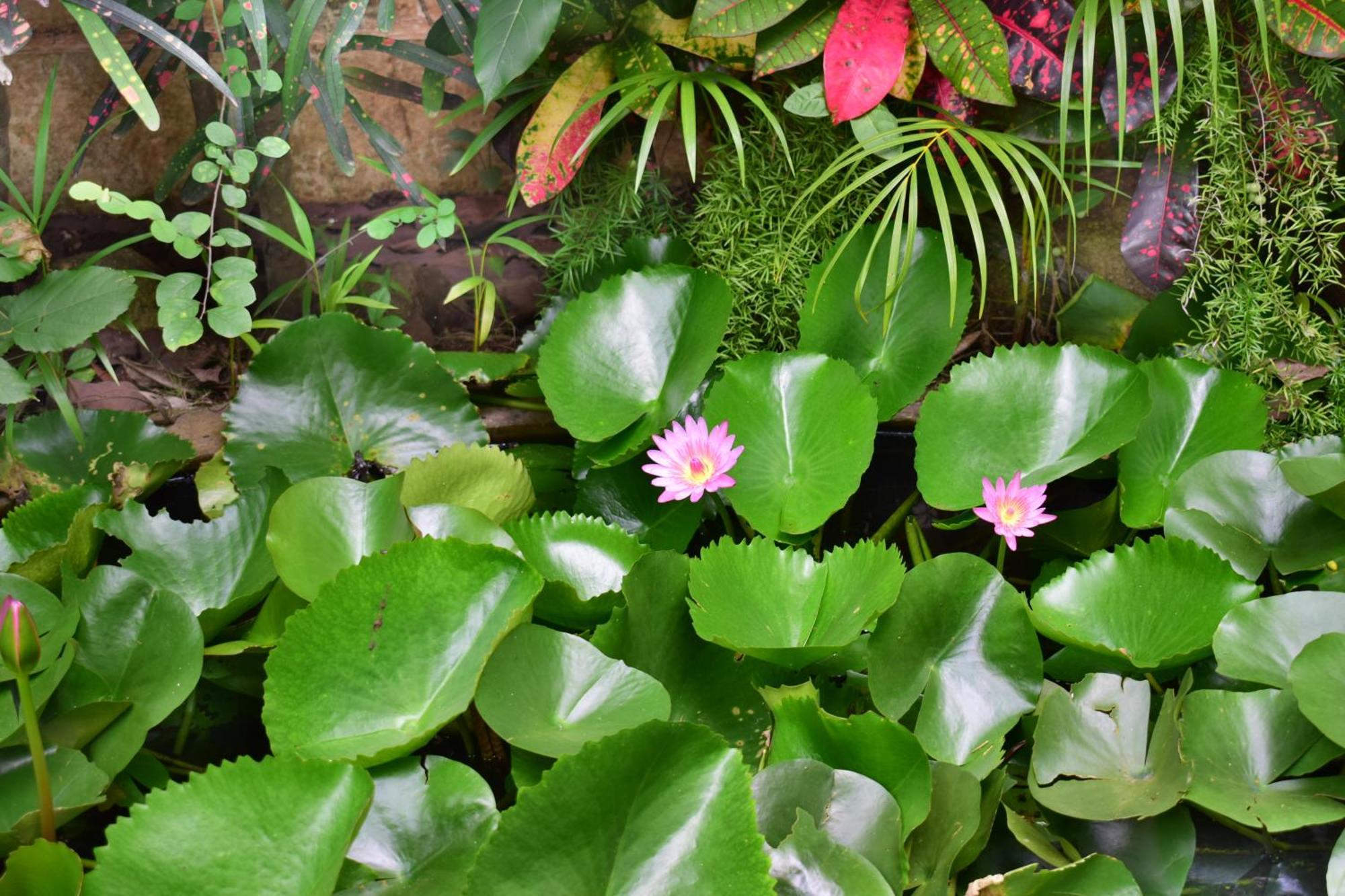 Silent Waters Resorts Yelagiri Eksteriør bilde